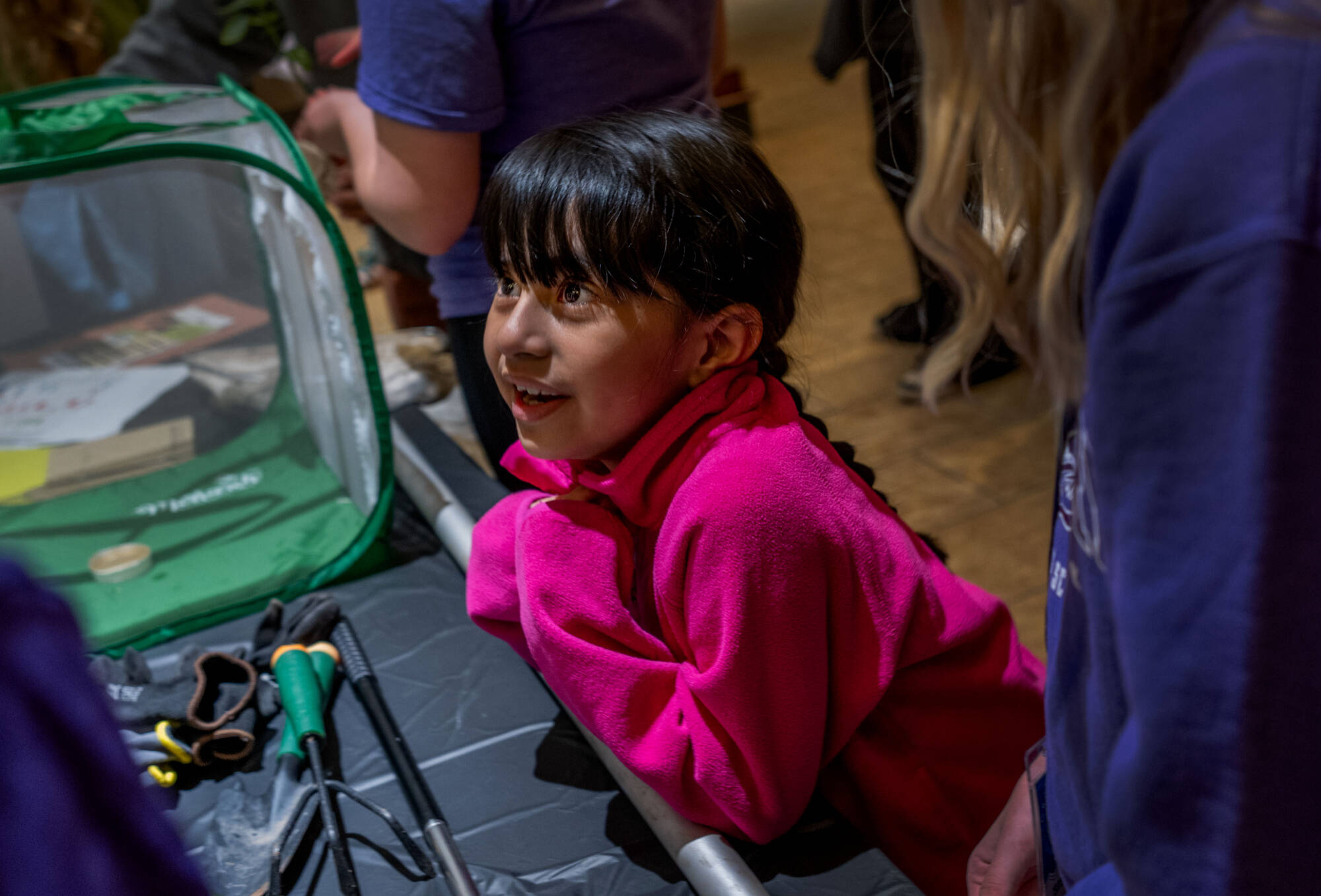 Student looks up in wonder at a butterfly display